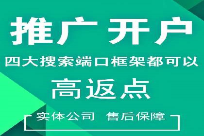 百度竞价公司成功案例：如何实现ROI最大化